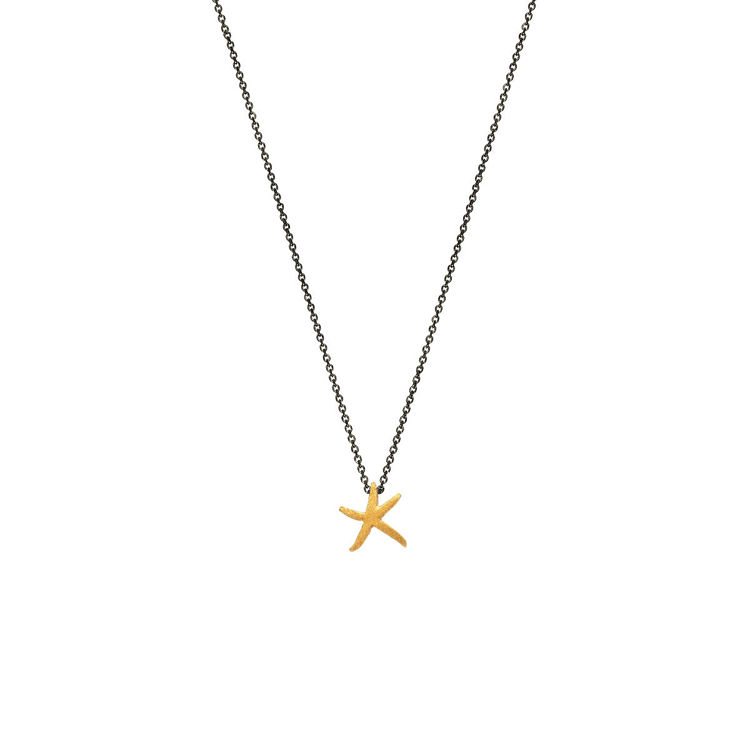 Picture of STARFISH