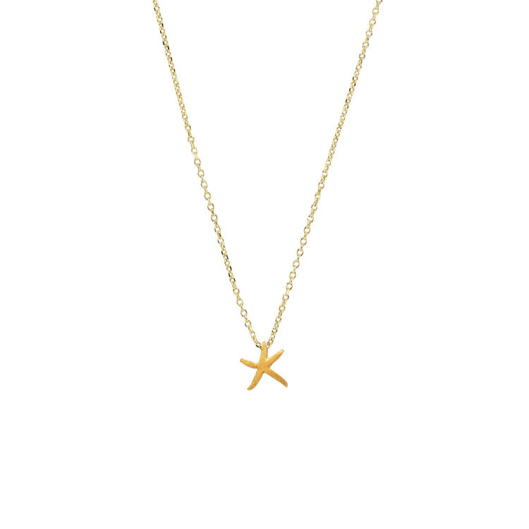 Picture of STARFISH