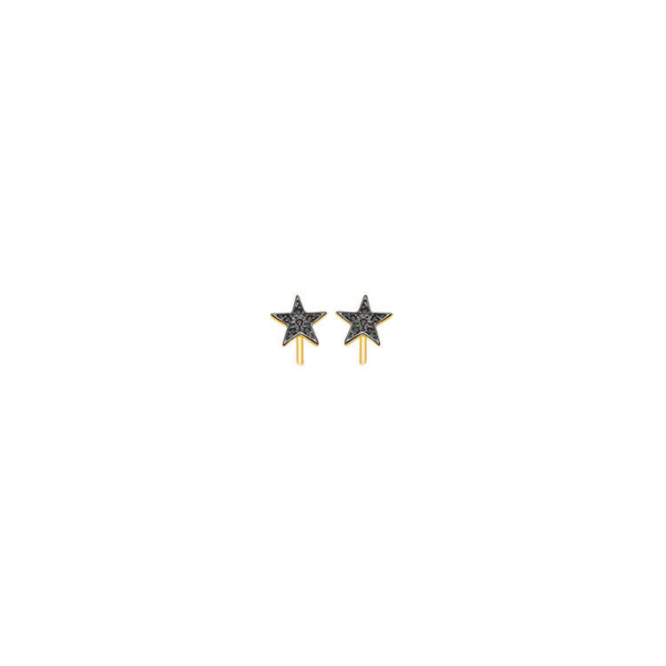 Picture of EARRING STAR
